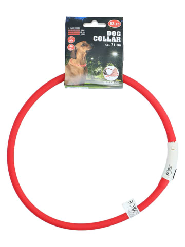 Edco 2-delige set: ledhondenhalsbanden rood/blauw - (verrassingsproduct)