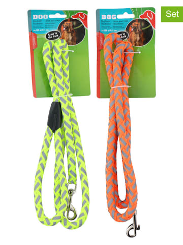 Edco 2-delige set: hondenlijnen oranje/geel - (L)120 cm - (verrassingsproduct)