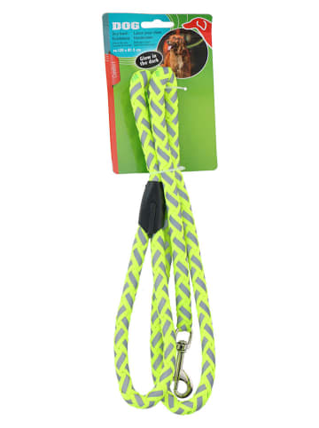 Edco 2-delige set: hondenlijnen oranje/geel - (L)120 cm - (verrassingsproduct)