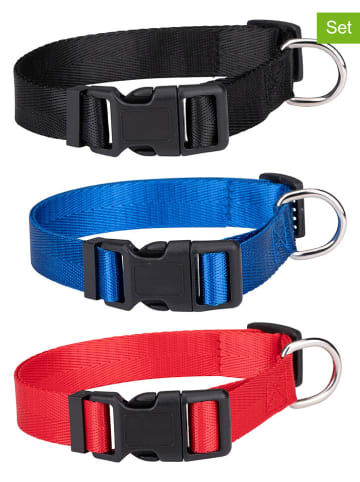 Edco 3-delige set: hondenhalsband meerkleurig - (verrassingsproduct)