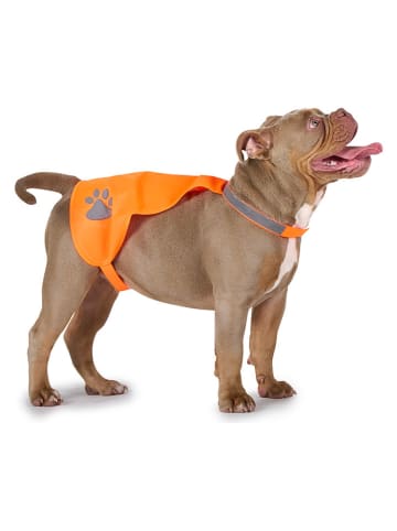 Edco Kamizelka bezpieczeństwa w kolorze pomarańczowym dla psa - rozmiar L/XL