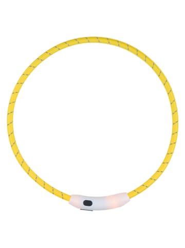 Edco Obroża w kolorze zielonym