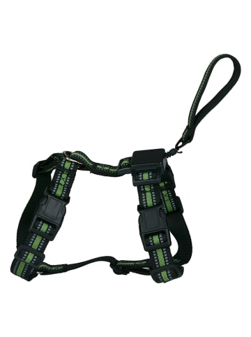 Edco Szelki w kolorze czarno-zielonym dla psa