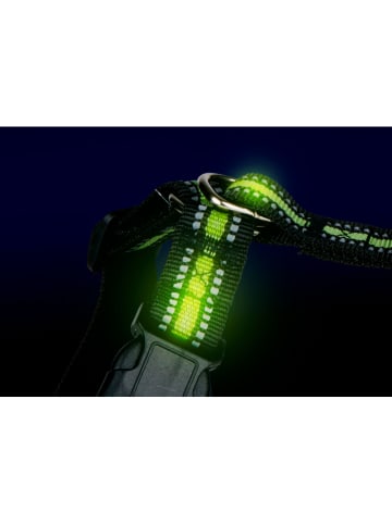 Edco Hondentuigje zwart/groen