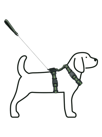 Edco Hundegeschirr in Schwarz/ Grün