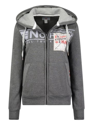 Geographical Norway Bluza "Gwen" w kolorze szarym