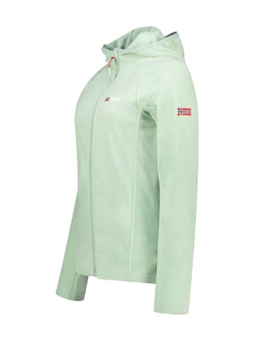Geographical Norway Fleecejacke "Tugood" in Hellgrün
