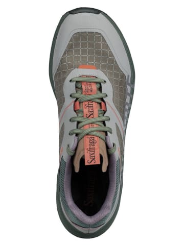 DOLOMITE Buty trekkingowe "Nibelia Saxifraga GTX" w kolorze zielonym