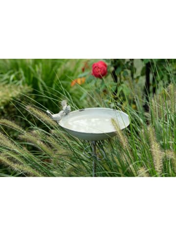 POSIWIO Vogeltränke in Grau - (B)24 x (H)10 x (T)22 cm