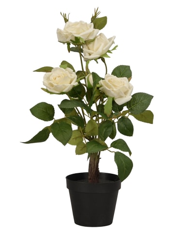 POSIWIO Sztuczny kwiat "Rose" w kolorze zielono-białym - wys. 44 x Ø 25 cm