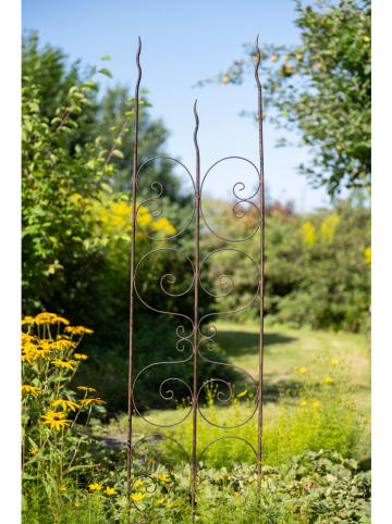 POSIWIO Rankgitter in Braun - (L)170 x (B)41 cm