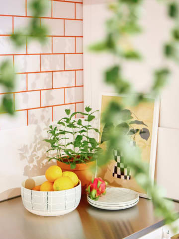 Thomas Miska "Fun" w kolorze jasnoszaro-zielonym do musli - Ø 24 cm