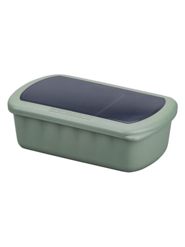 Fackelmann Lunchbox in Grün - 1 l