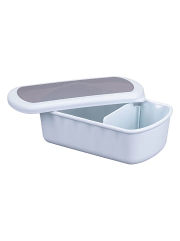 Fackelmann Lunchbox in Hellblau - 1 l