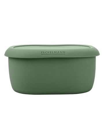 Fackelmann Lunchbox in Grün - 600 ml