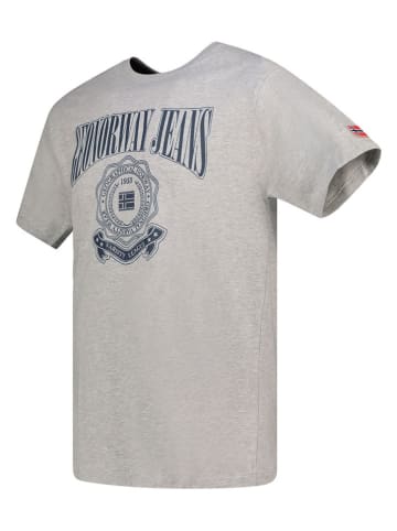 Geographical Norway Shirt "Jacao" in Grau