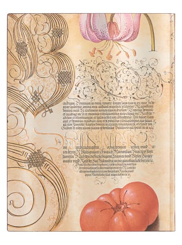 Paperblanks Notatnik "Lily & Tomato" w kolorze beżowym w linie - 18 x 23 cm