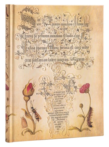 Paperblanks Notatnik "Flemish Rose" w kolorze beżowym w linie - 18 x 23 cm