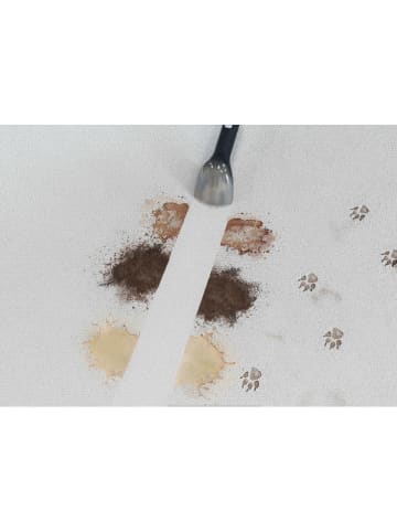 Hoover Urządzenie "HS5" w kolorze czarnym do usuwania plam