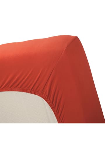 Beddinghouse Prześcieradło w kolorze koralowym na dzielony topper