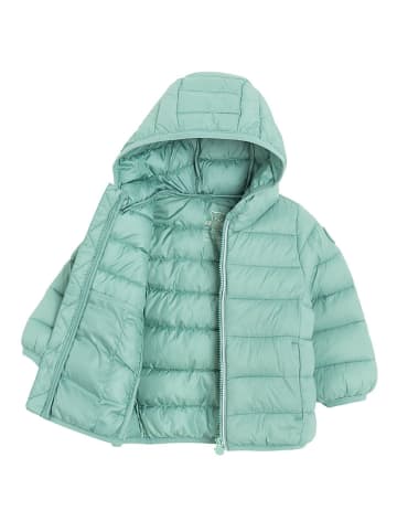 COOL CLUB Steppjacke in Grün