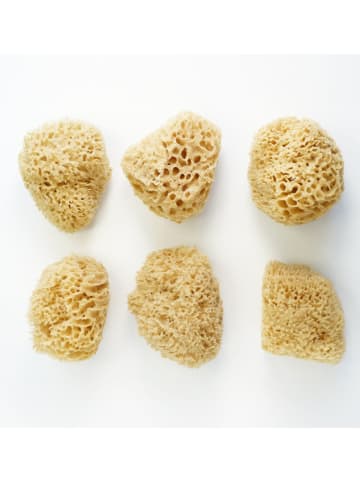 Lullalove Gąbka naturalna "Honeycomb" w kolorze żółtym