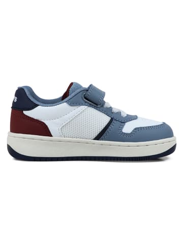 Levi's Sneakers in Weiß/ Hellblau