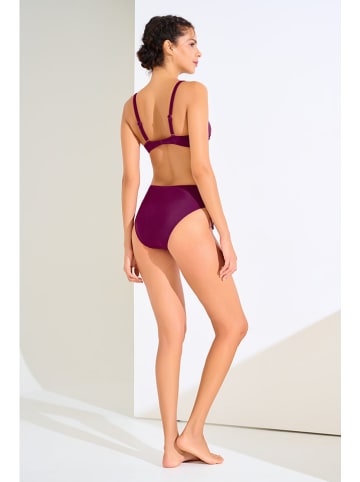 Lisca Bikini-Oberteil in Pflaume