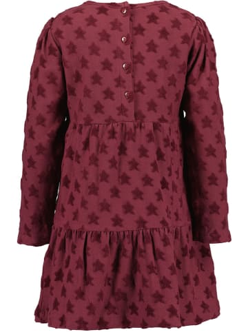 Blue Seven Kleid in Lila