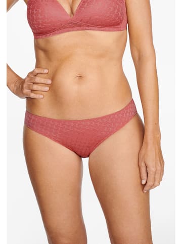 Naturana Slip in Beere