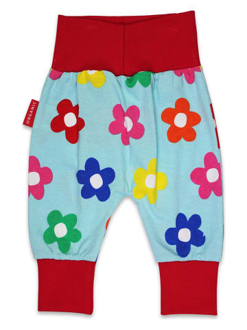 Toby Tiger Sweathose in Hellblau/ Rot