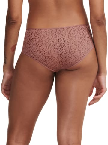 Chantelle Panty in Braun