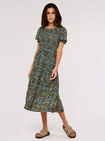 Apricot Sukienka w kolorze zielonym