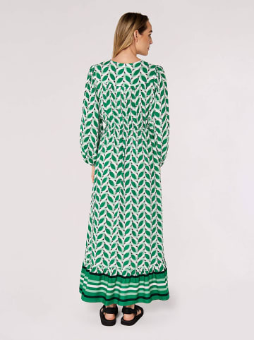 Apricot Sukienka w kolorze zielonym