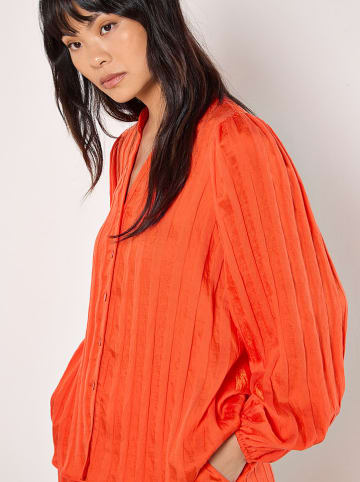 Apricot Bluzka w kolorze pomarańczowym