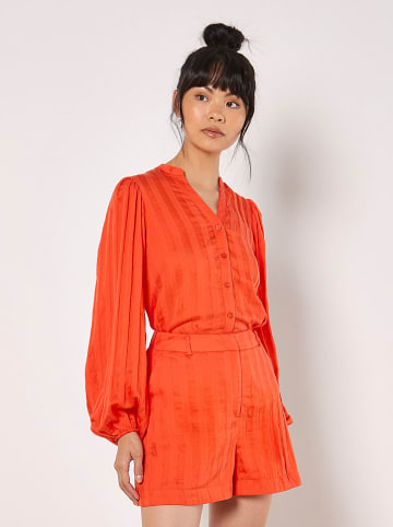 Apricot Shorts in Orange