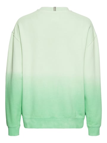 Camel Active Bluza w kolorze zielonym