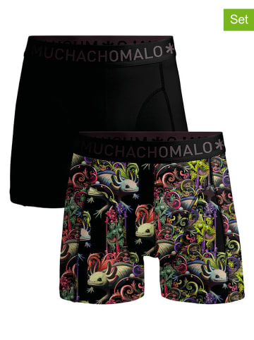 Muchachomalo 2er-Set: Boxershorts in Schwarz