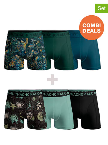 Muchachomalo 6er-Set: Boxershorts in Grün/ Schwarz