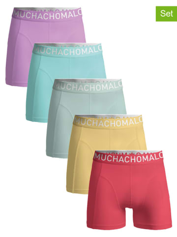 Muchachomalo 5er-Set: Boxershorts in Bunt