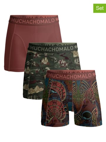 Muchachomalo 3-delige set: boxershorts groen/lichtbruin