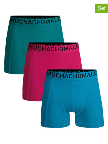 Muchachomalo 3-delige set: boxershorts turquoise/roze/blauw