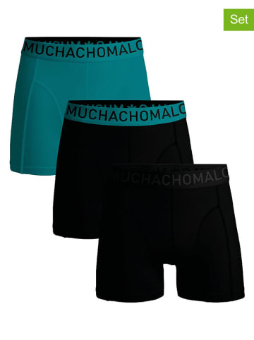 Muchachomalo 3er-Set: Boxershorts in Schwarz/ Türkis