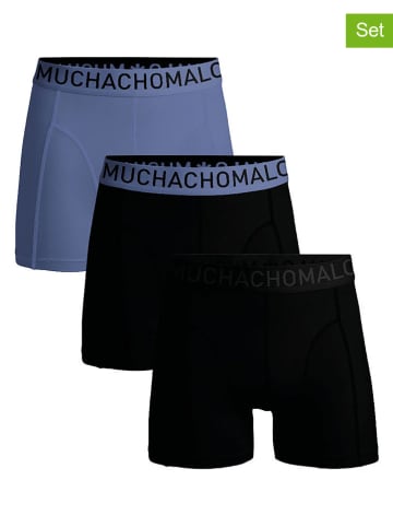 Muchachomalo 3er-Set: Boxershorts in Schwarz/ Lila