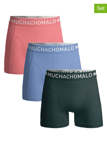 Muchachomalo 3er-Set: Boxershorts in Dunkelgrün/ Hellblau/ Rosa