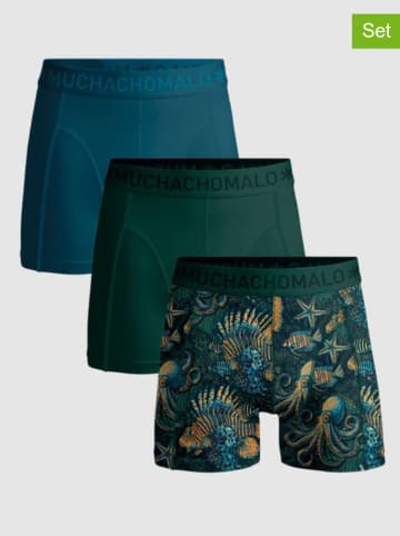 Muchachomalo 3er-Set: Boxershorts in Blau/ Dunkelgrün