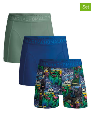 Muchachomalo 3er-Set: Boxershorts in Blau/ Mint