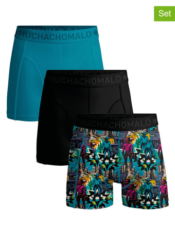 Muchachomalo 3-delige set: boxershorts zwart/turquoise