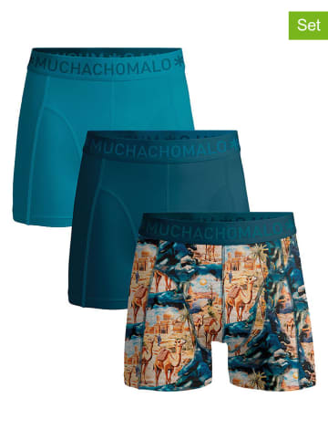 Muchachomalo 3er-Set: Boxershorts in Blau