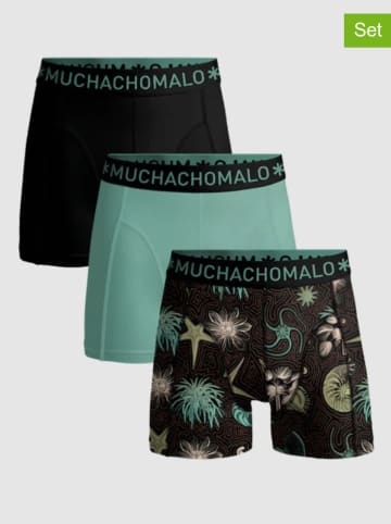 Muchachomalo 3er-Set: Boxershorts in Schwarz/ Hellgrün